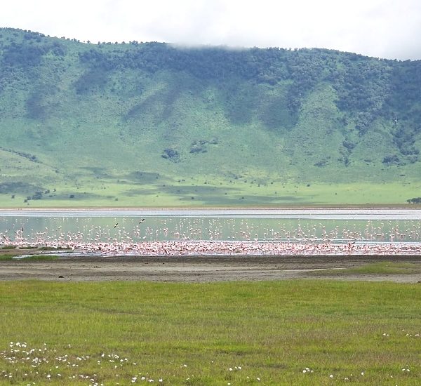 Ngorongoro_Crater_