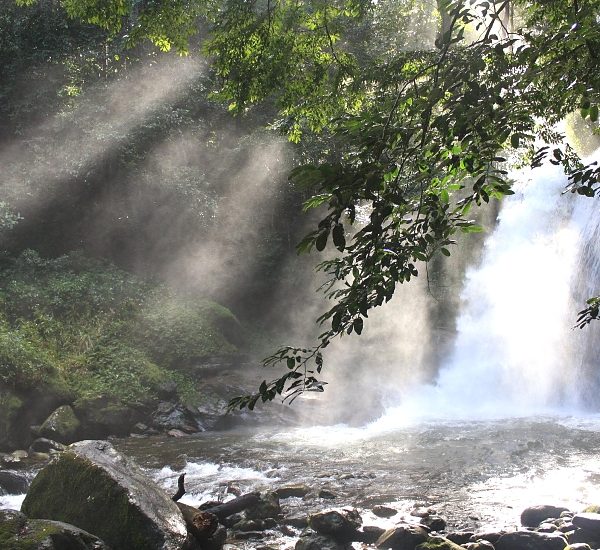 Udzungwa_National_Park